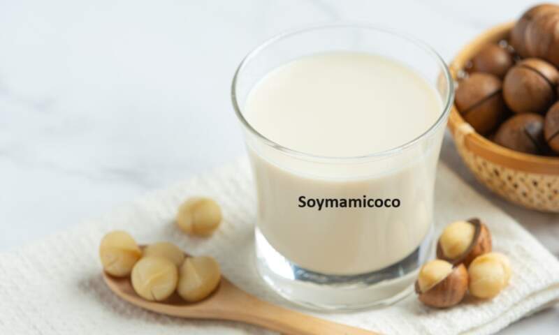 Soymamicoco