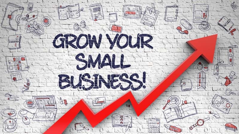 Small Businesses Grow
